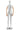 Female Abstract Mannequin in Straight Leg Pose w/ Articulating Arms (AP Series)