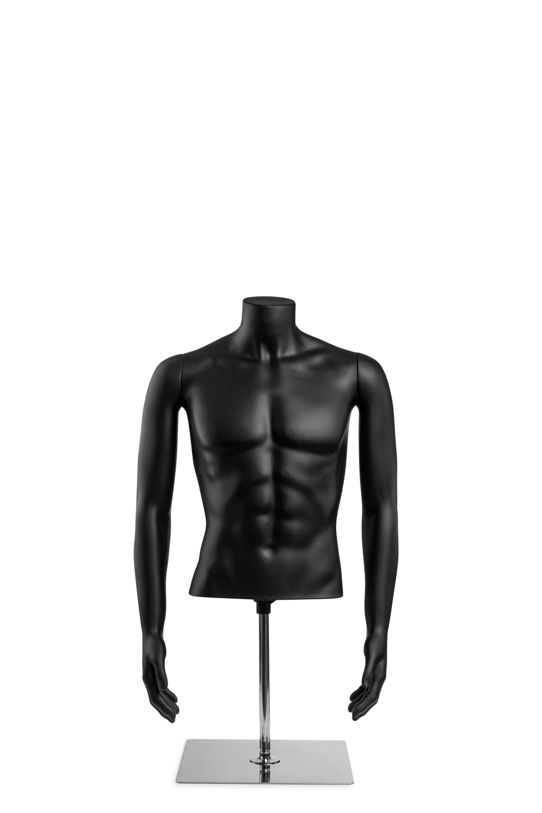 Mannequin torso popular male