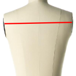 back width measurements for a dress form
