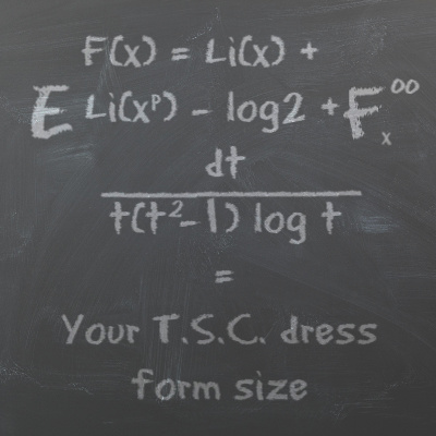 the TSC Dress Form Size Finder Software